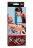 Колесо Вартенберга Scandal Pleasure Wheel