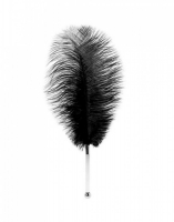 Черное страусиное перо для ласк TOYFA THEATRE