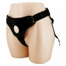 Трусы для страпона Love Spell Harness Briefs Pretty Love